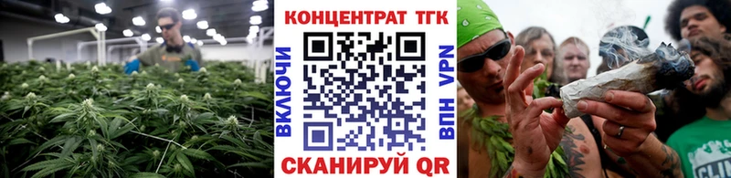 купить наркоту  Северская  Дистиллят ТГК THC oil 